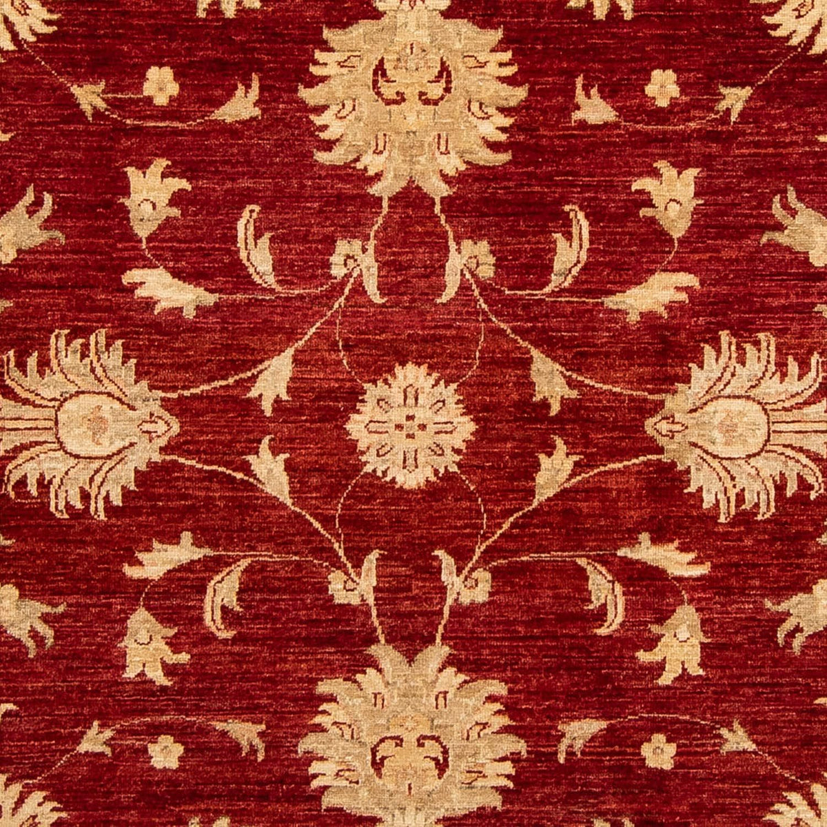Ziegler Rug - 285 x 207 cm - dark red