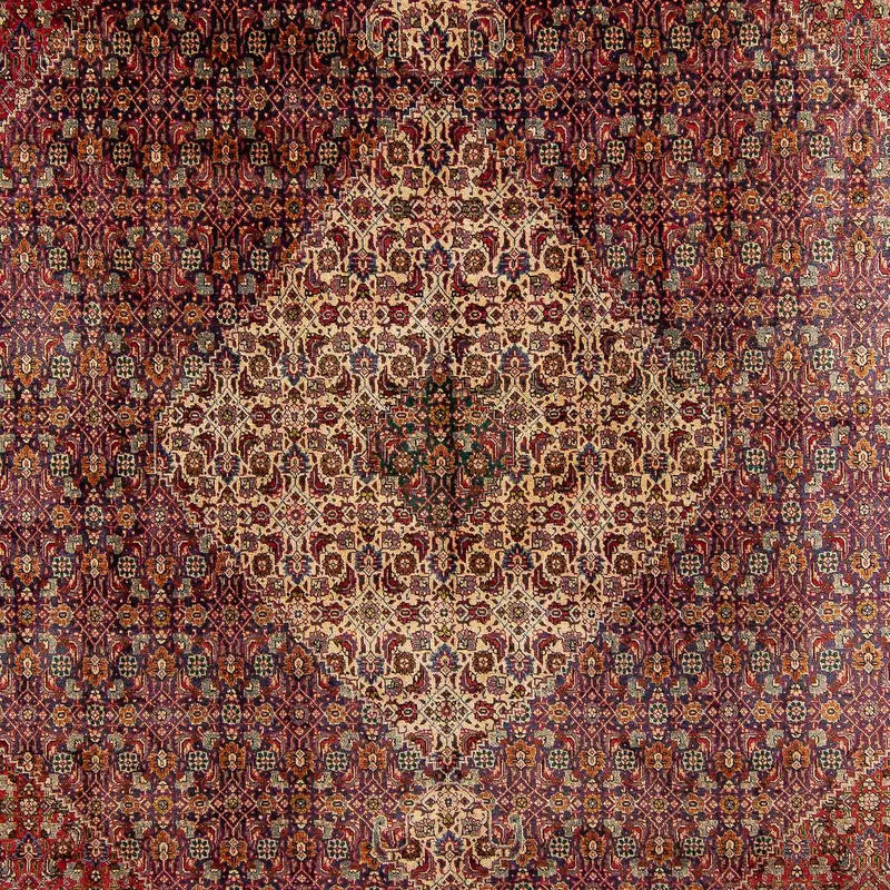 Perser Rug - Tabriz - 392 x 310 cm - multicolored
