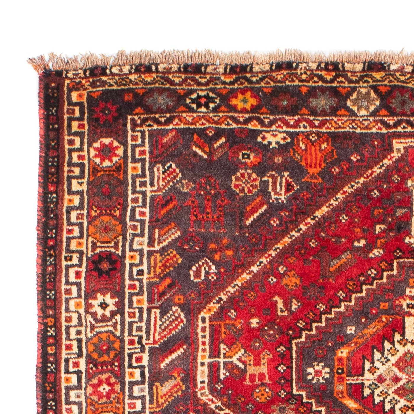 Shiraz Rug 170x116cm - Persian Rugs