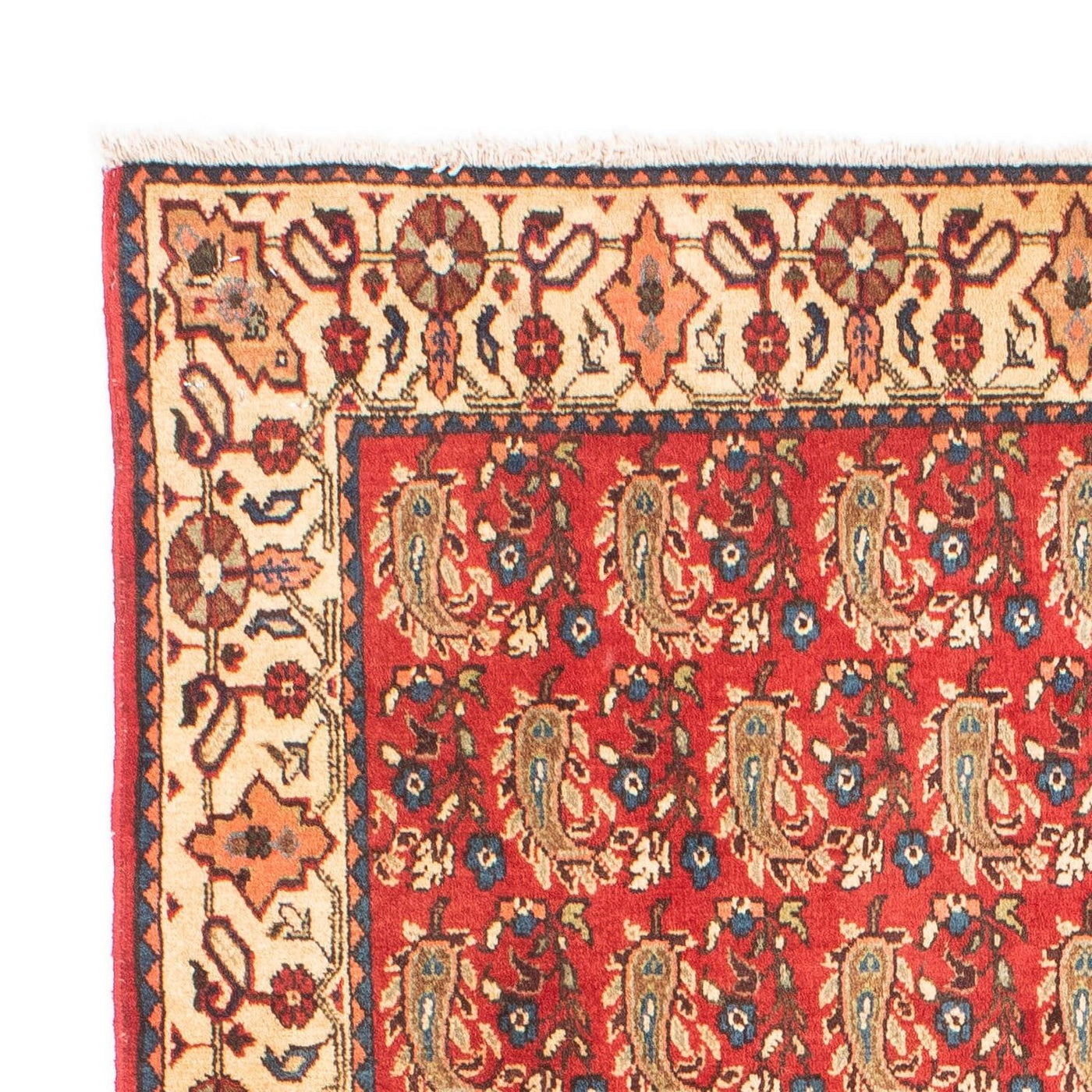 Shiraz Rug 160x110cm - Persian Rugs