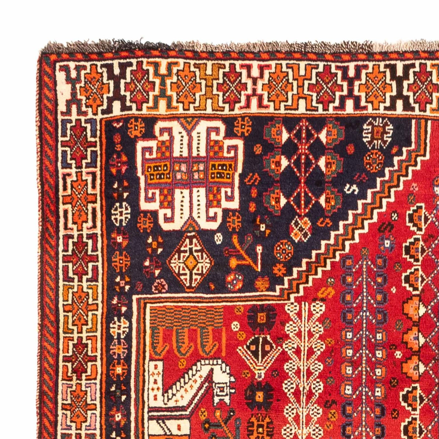 Shiraz Rug 255x160cm - Persian Rugs
