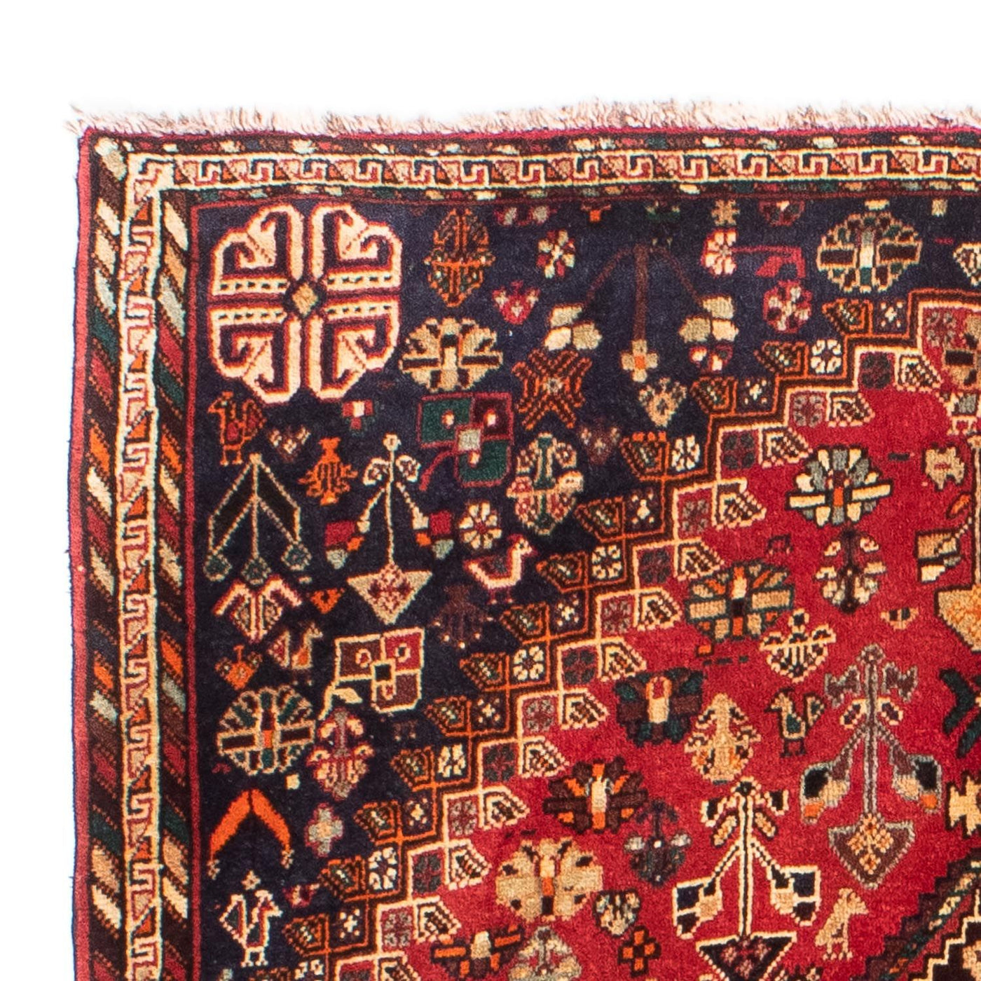 Shiraz Rug 185x138cm - Persian Rugs