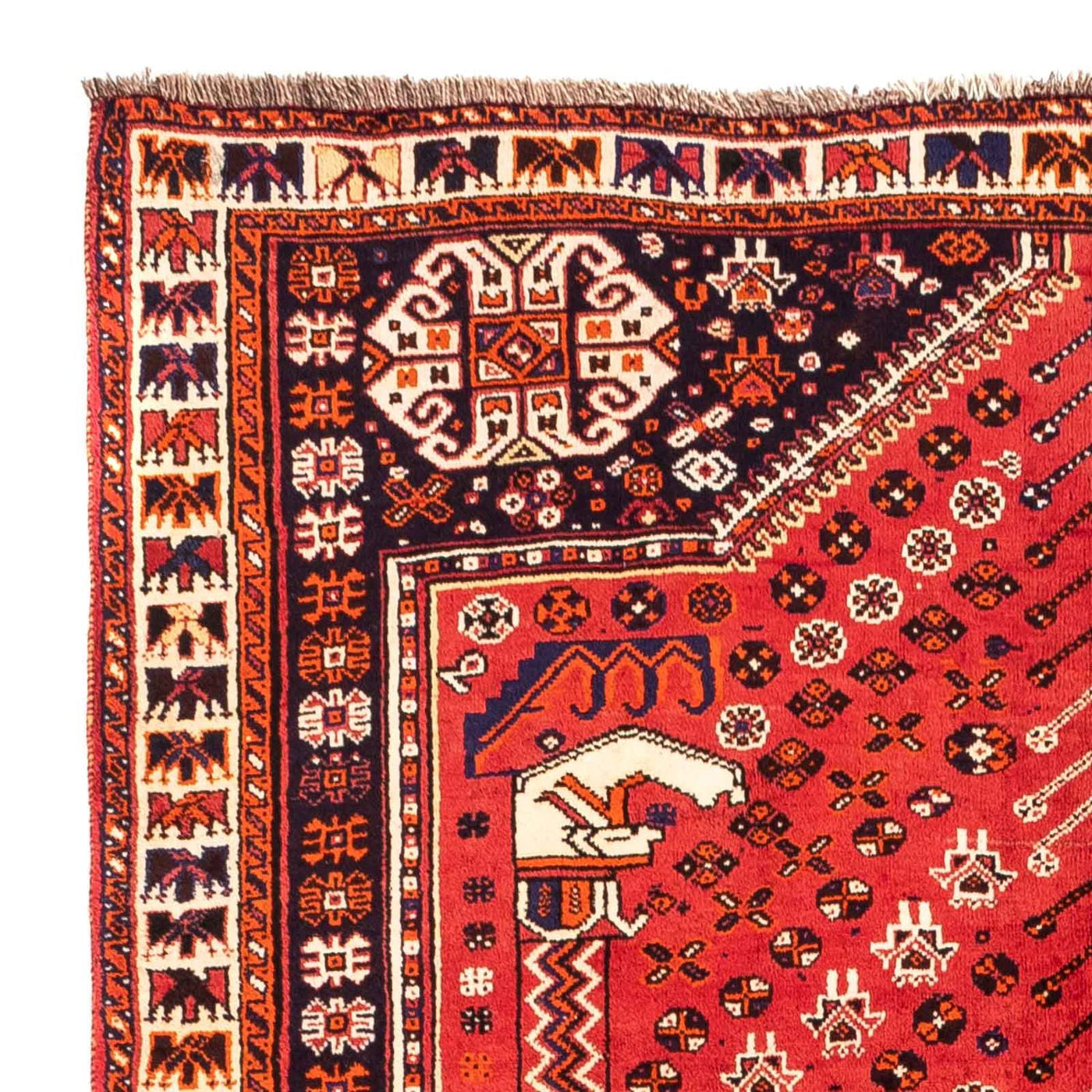 Shiraz Rug 240x170cm - Persian Rugs
