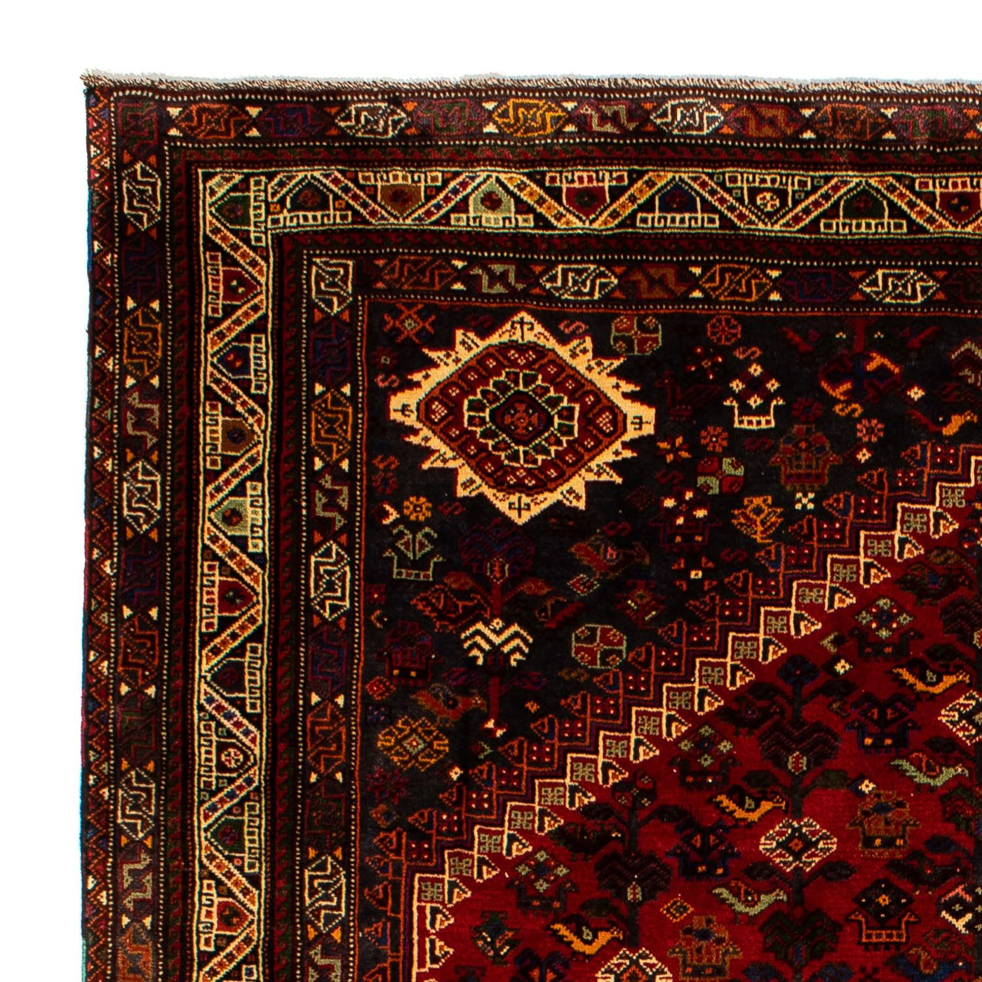 Shiraz Rug 295x210cm - Persian Rugs