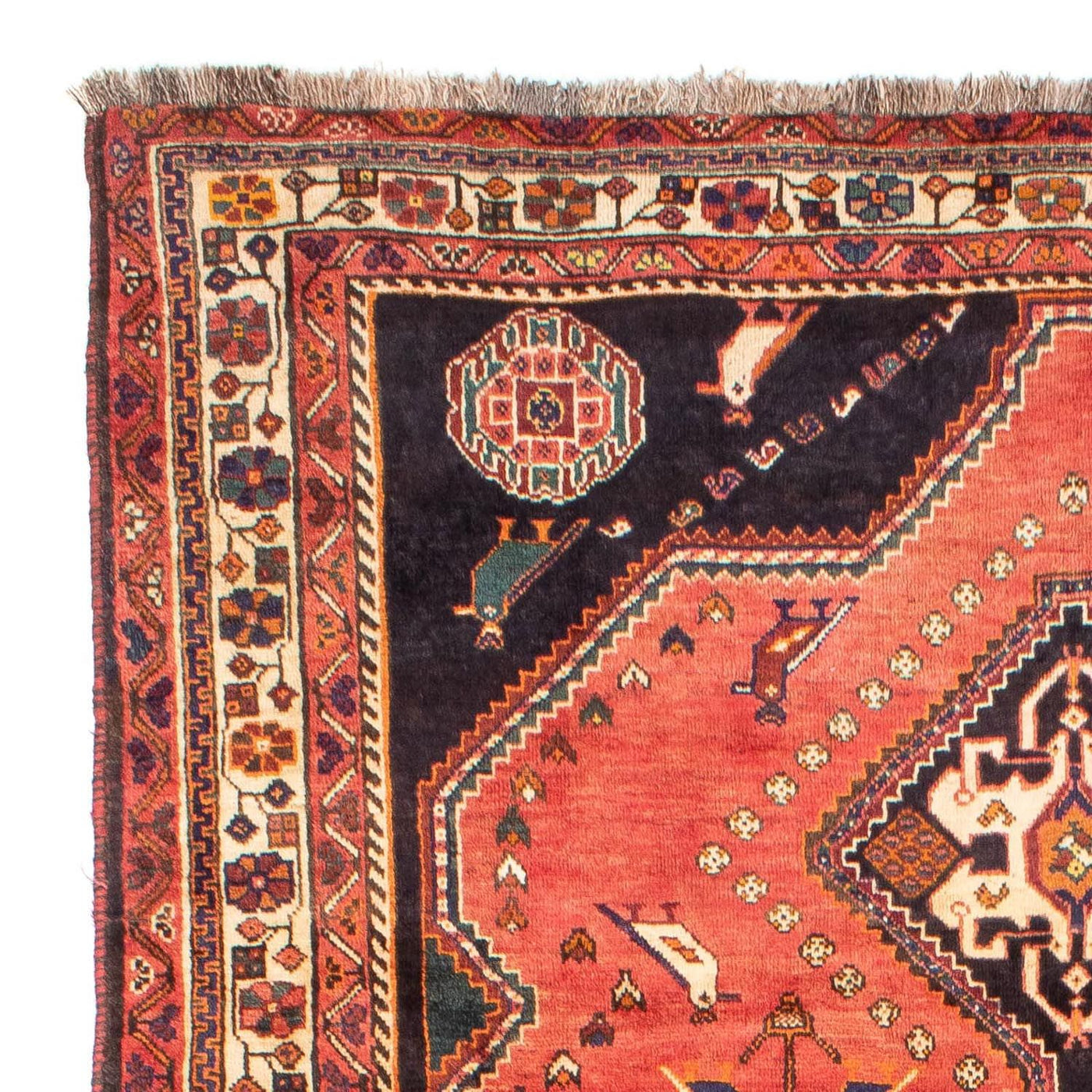 Shiraz Rug 290x195cm - Persian Rugs