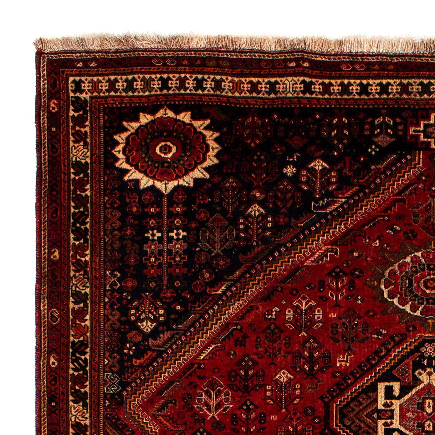 Shiraz Rug 322x225cm - Persian Rugs