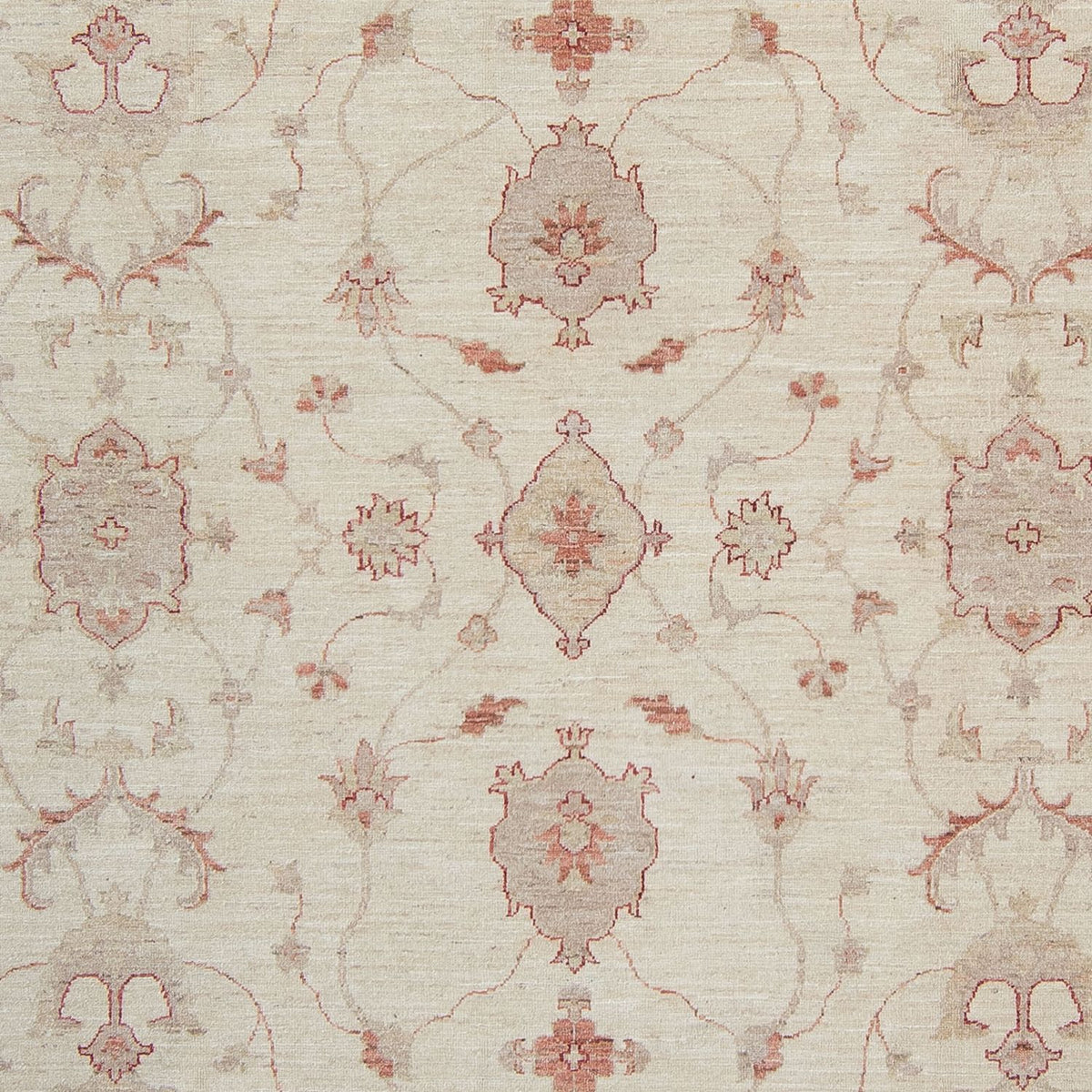 Ziegler Rug - 340 x 250 cm - beige