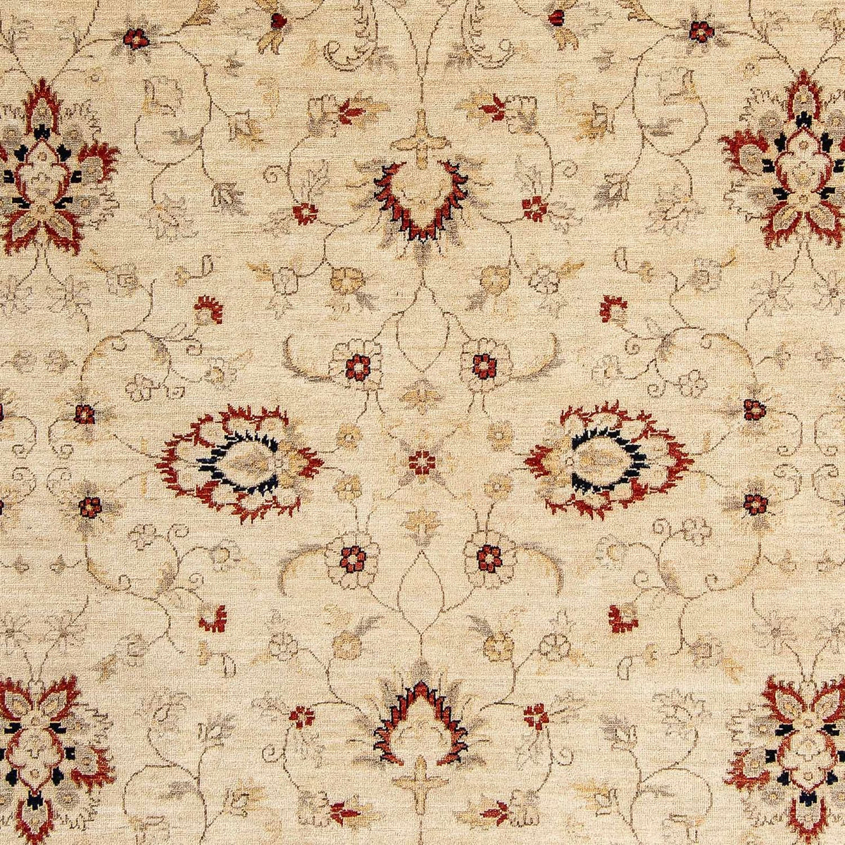 Ziegler Rug - 297 x 246 cm - beige