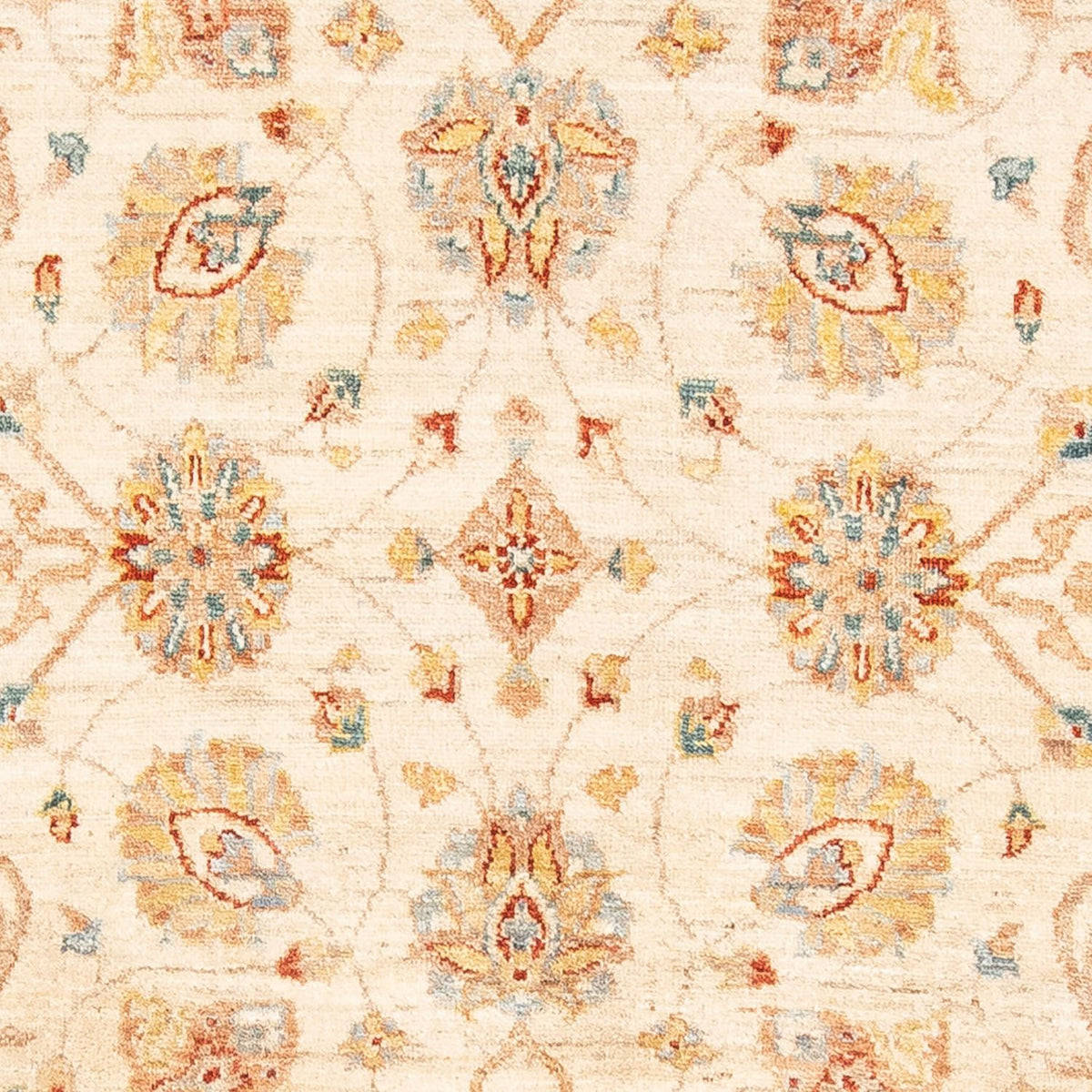 Ziegler Rug - 186 x 125 cm - beige