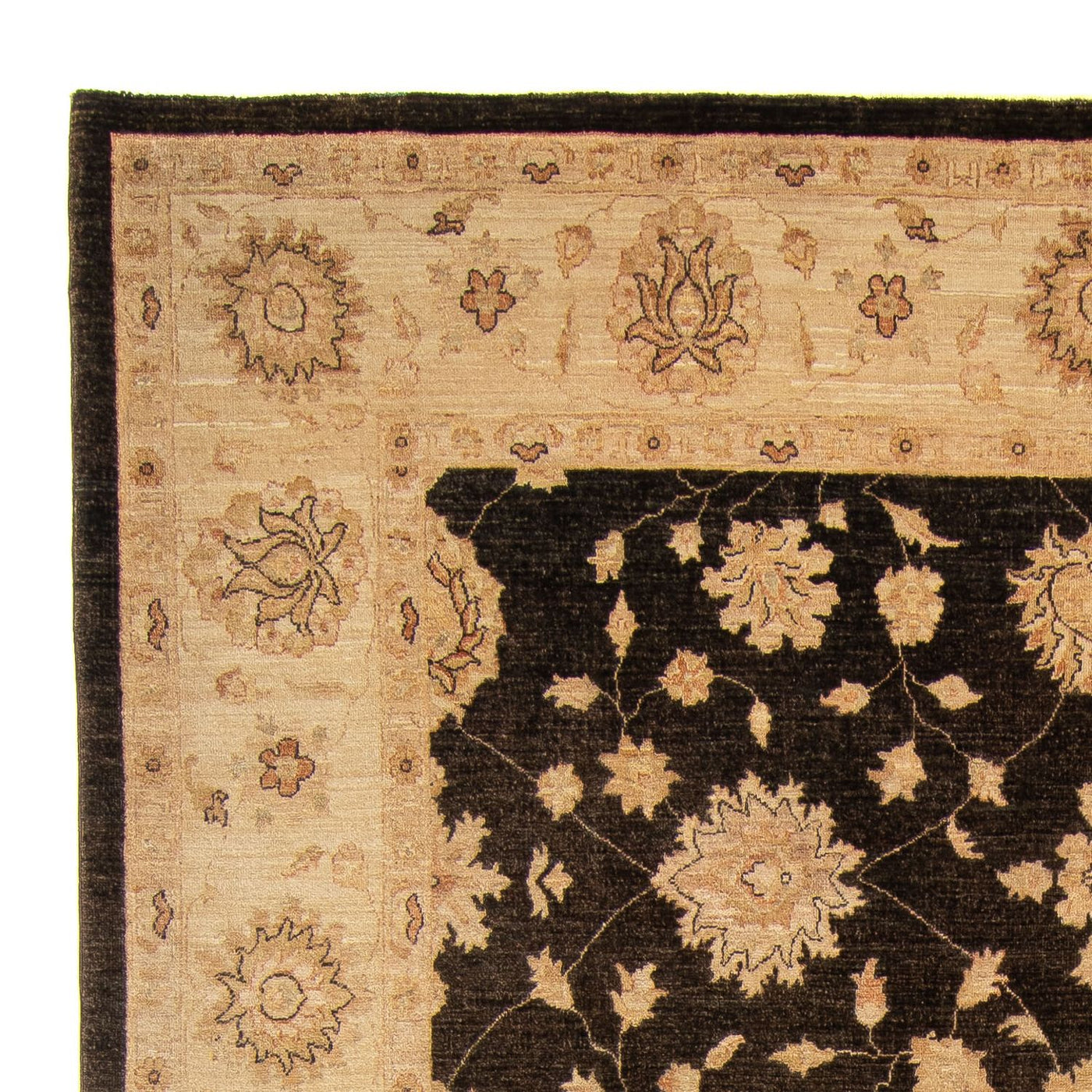 Ziegler Rug 349x248cm - Oriental Rug