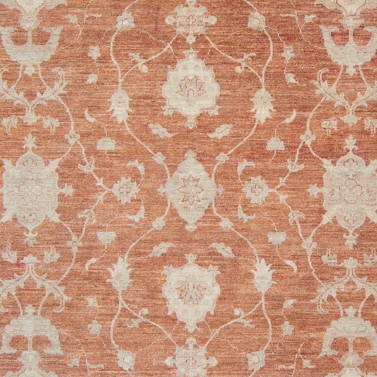 Ziegler Rug - 345 x 252 cm - rust