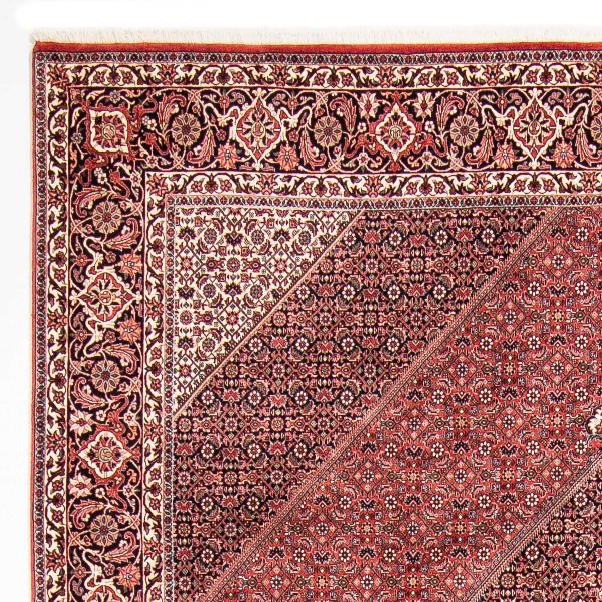 Perser Rug - Bidjar - 310 x 250 cm - red