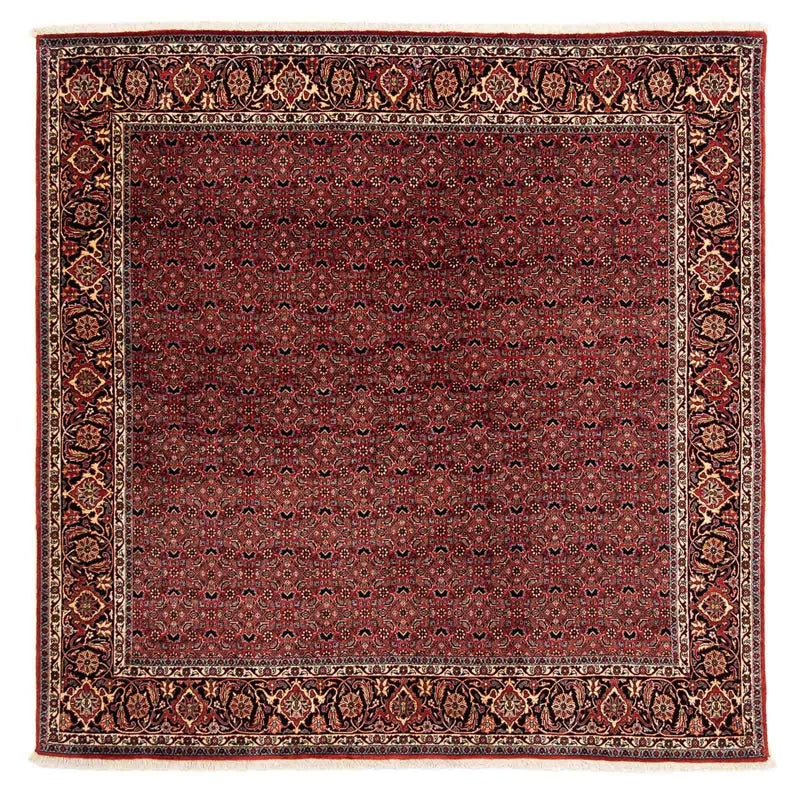 Perser Rug - Bidjar square  - 200 x 197 cm - dark red