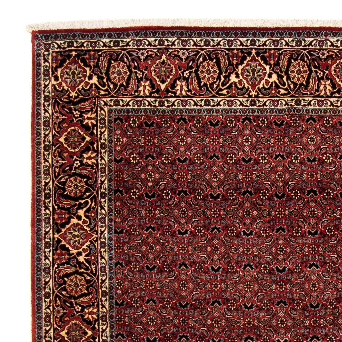 Perser Rug - Bidjar square  - 200 x 197 cm - dark red