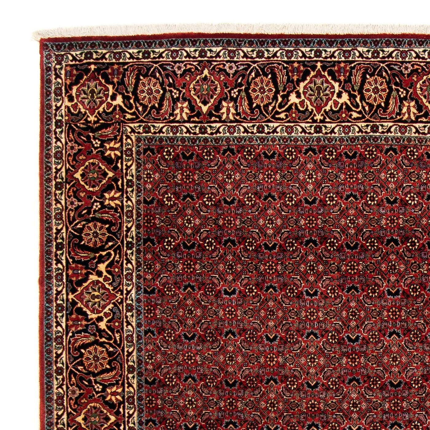 Bidjar Rug 200x197cm - Persian Rugs