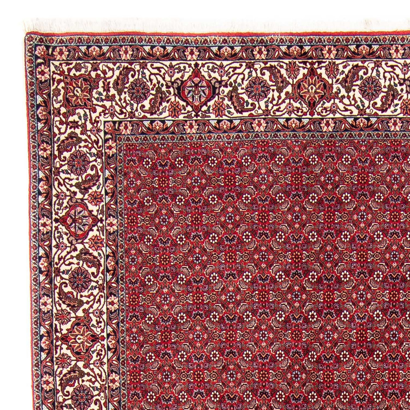 Bidjar Teppich 297x247cm - Perserteppich