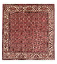 Perser Rug - Bidjar square  - 208 x 200 cm - light red
