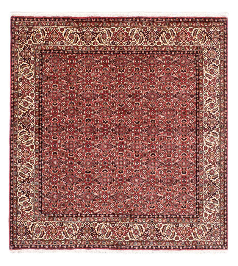 Perser Rug - Bidjar square  - 208 x 200 cm - light red