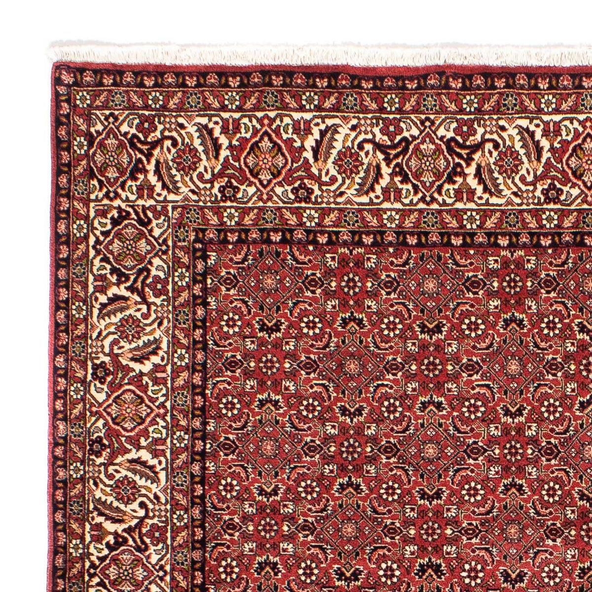 Bidjar Rug 200x208cm - Persian Rugs