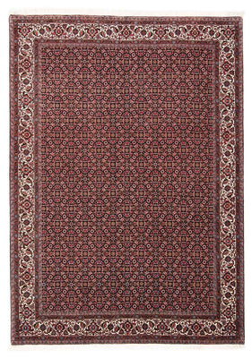 Perser Rug - Bidjar - 245 x 176 cm - light red
