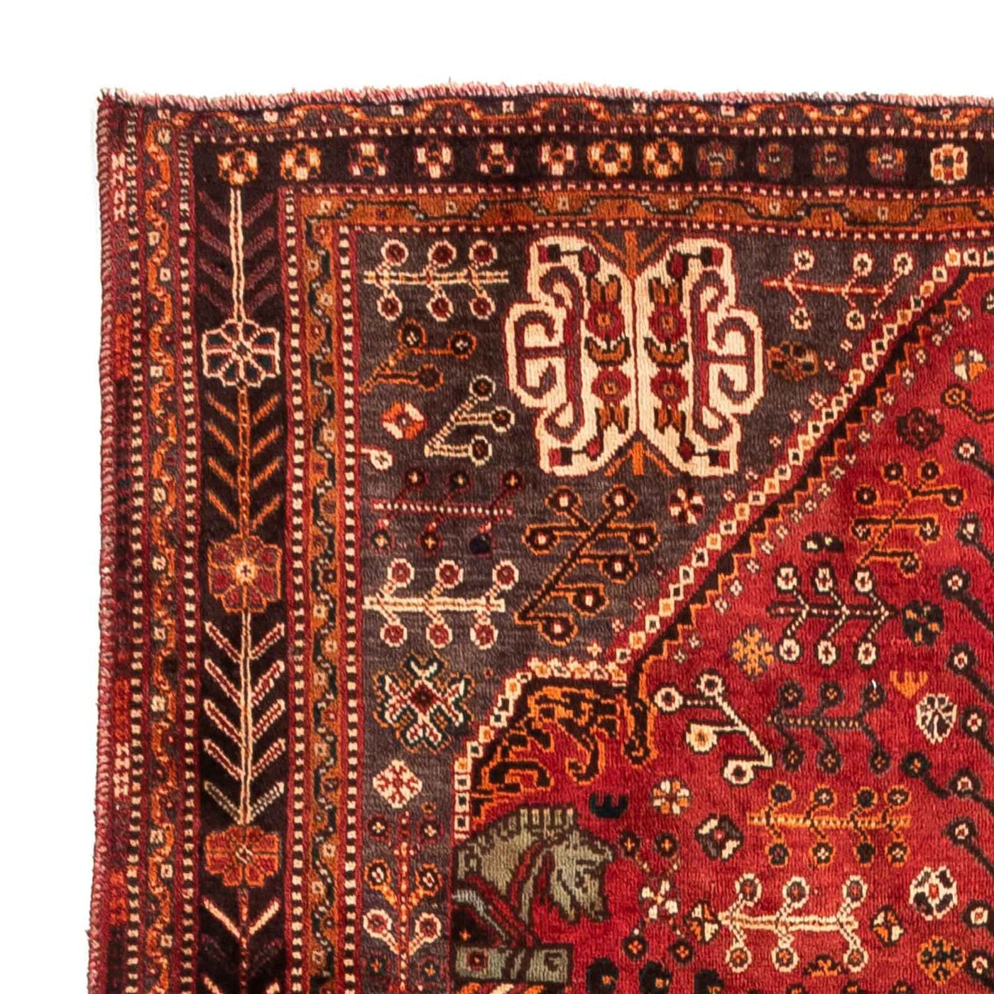 Shiraz Rug 253x160cm - Persian Rugs