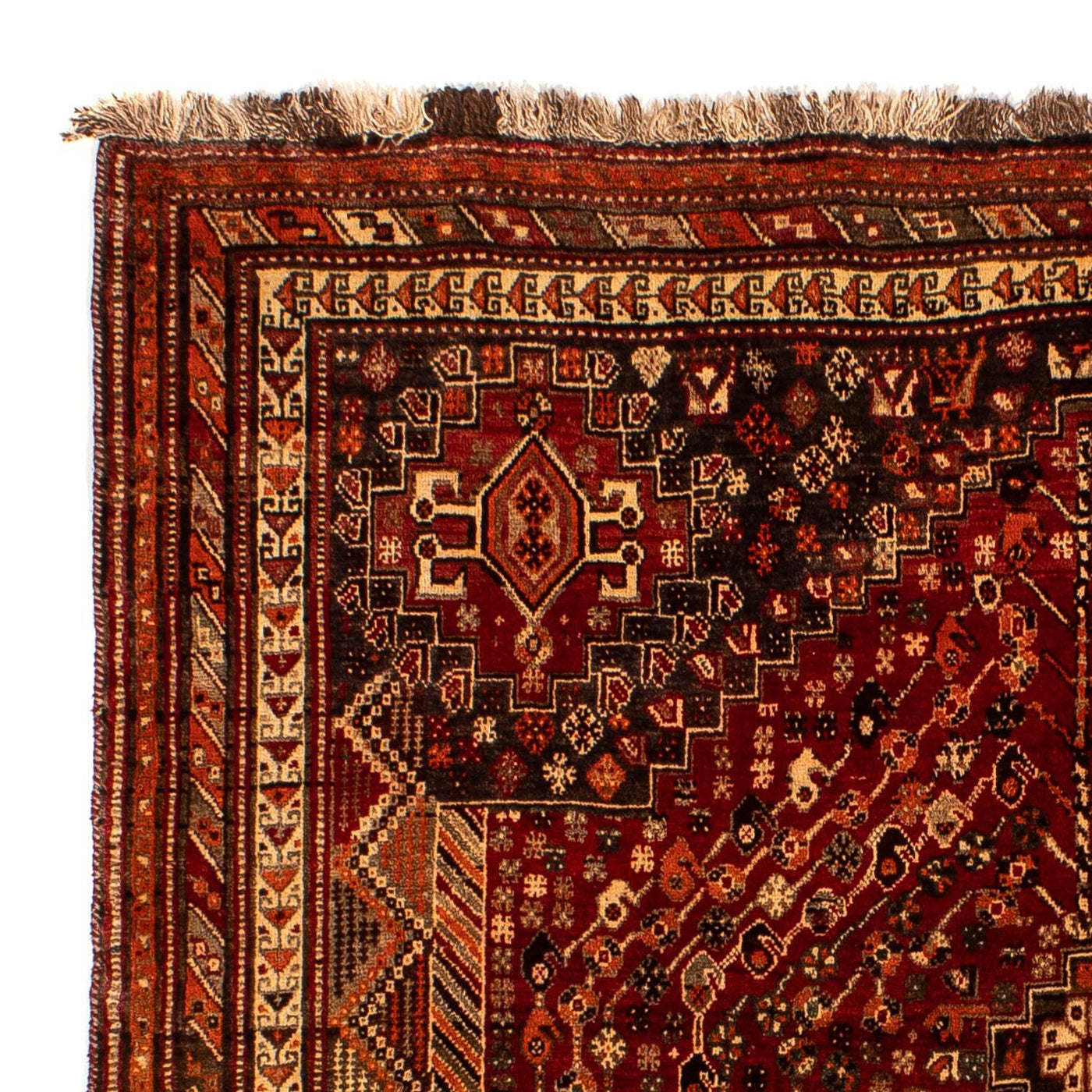 Shiraz Rug 240x190cm - Persian Rugs