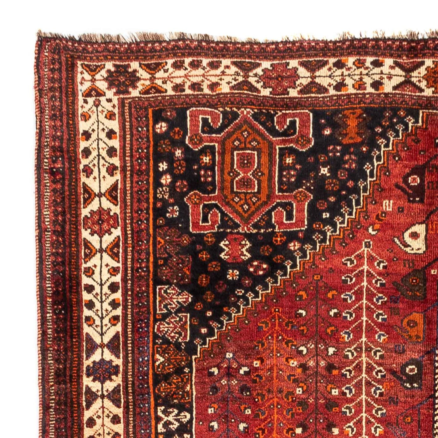 Shiraz Rug 258x163cm - Persian Rugs