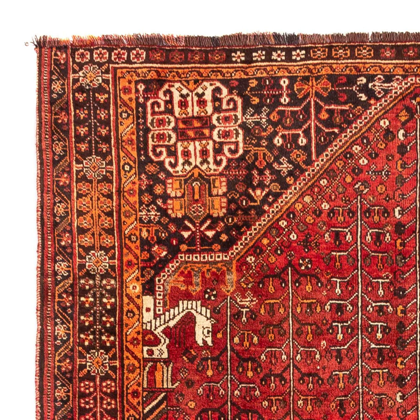 Shiraz Rug 240x158cm - Persian Rugs