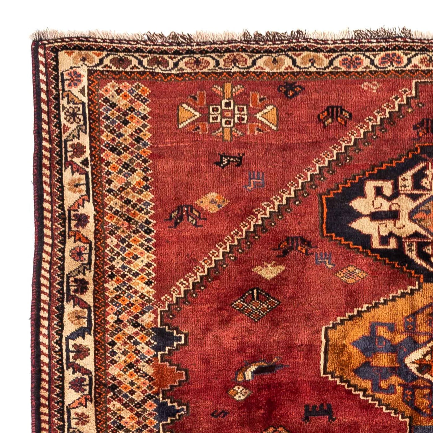 Shiraz Rug 238x174cm - Persian Rugs