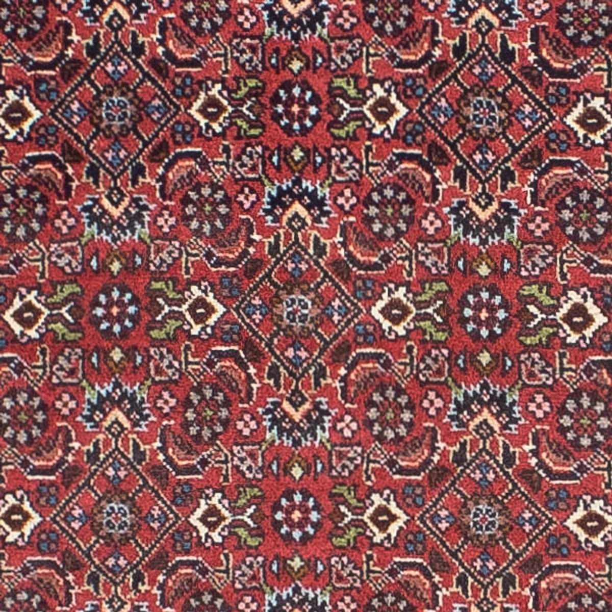 Runner Perser Rug - Bidjar - 243 x 68 cm - light red