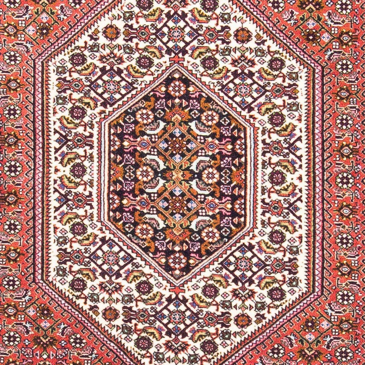 Perser Rug - Bidjar - 161 x 90 cm - light red