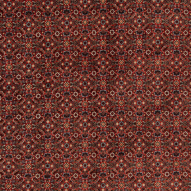 Perser Rug - Bidjar square  - 203 x 197 cm - dark red