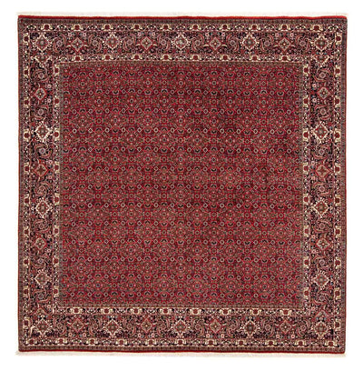 Bidjar Rug 205x205cm - Persian Rugs
