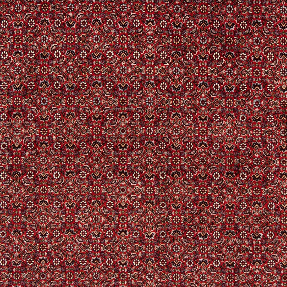Perser Rug - Bidjar square  - 205 x 205 cm - dark red