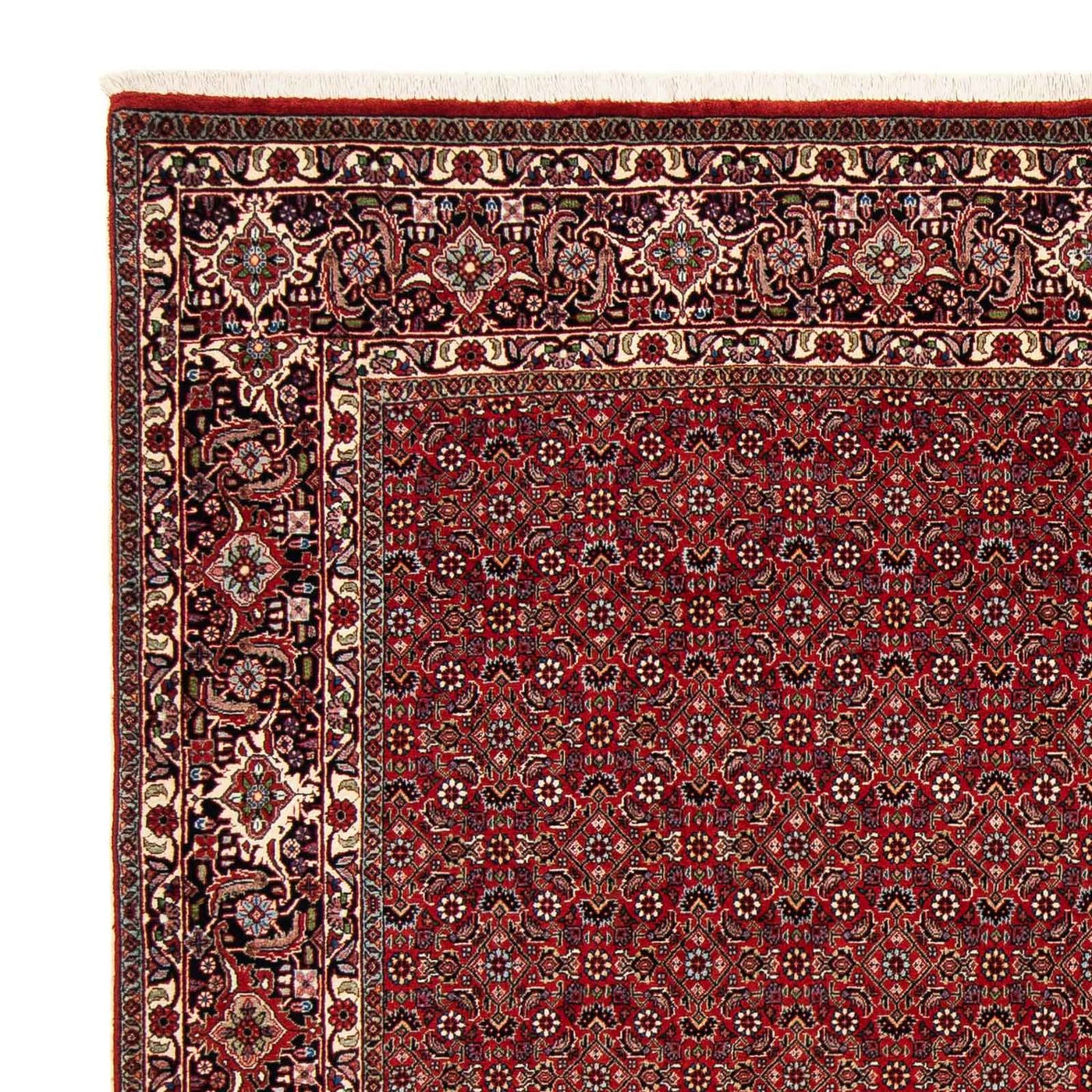Bidjar Rug 205x205cm - Persian Rugs