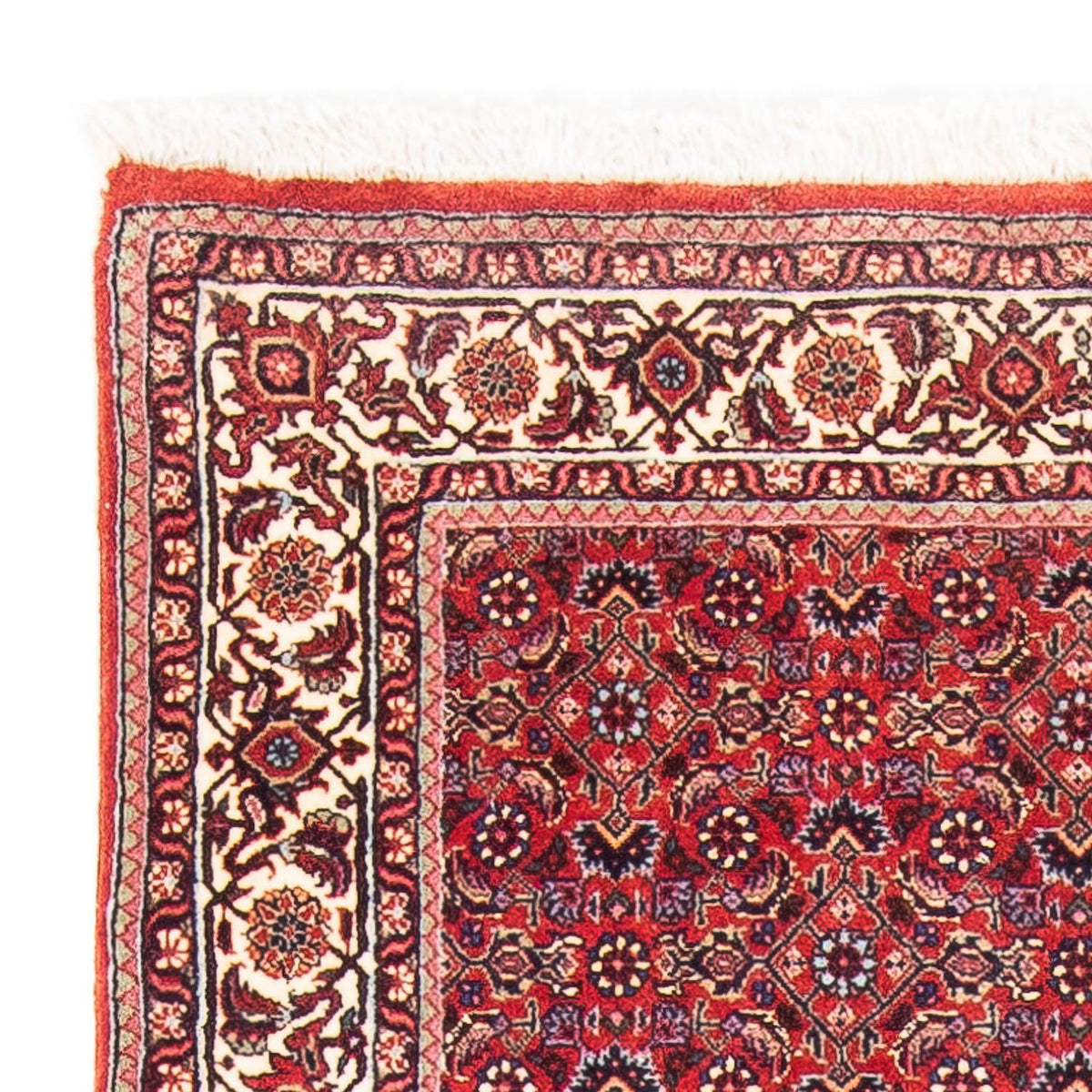 Bidjar Rug 88x170cm - Persian Rugs