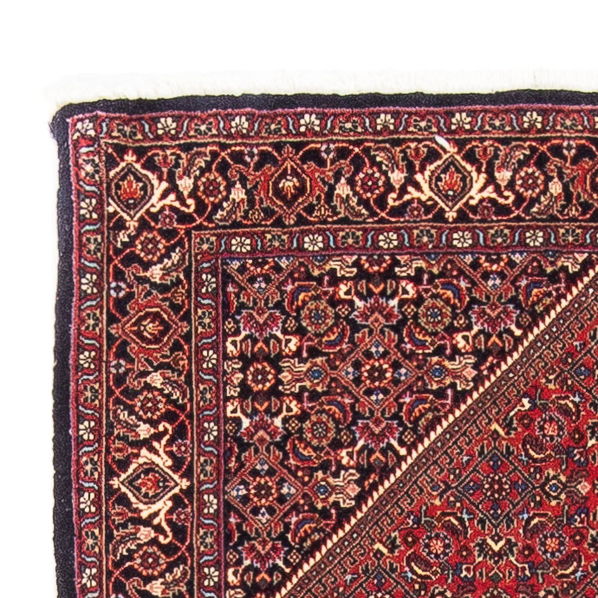 Bidjar Rug 81x148cm - Persian Rugs
