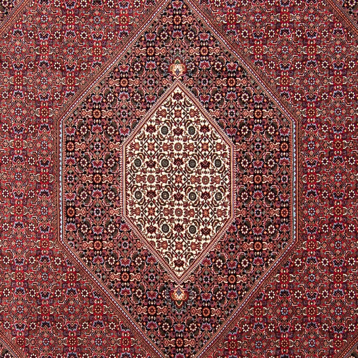 Perser Rug - Bidjar - 298 x 258 cm - red