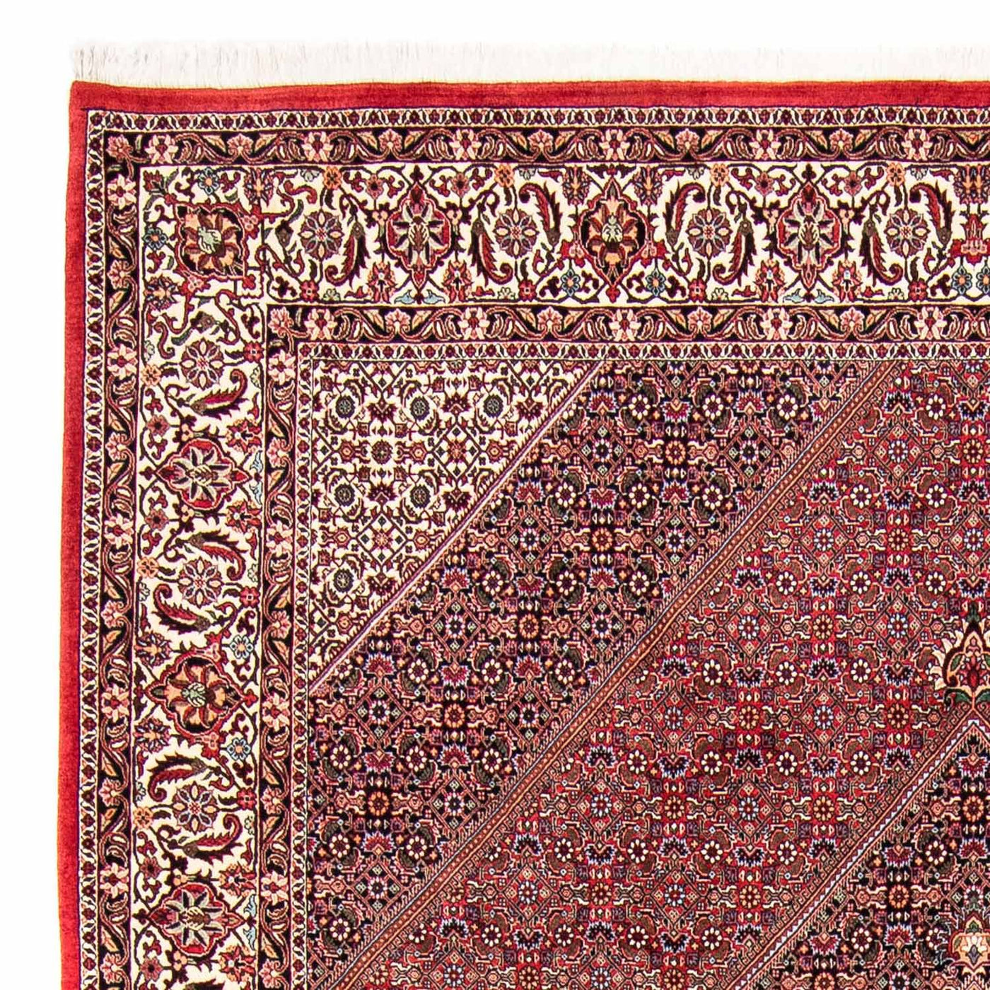 Bidjar Rug 298x258cm - Persian Rugs