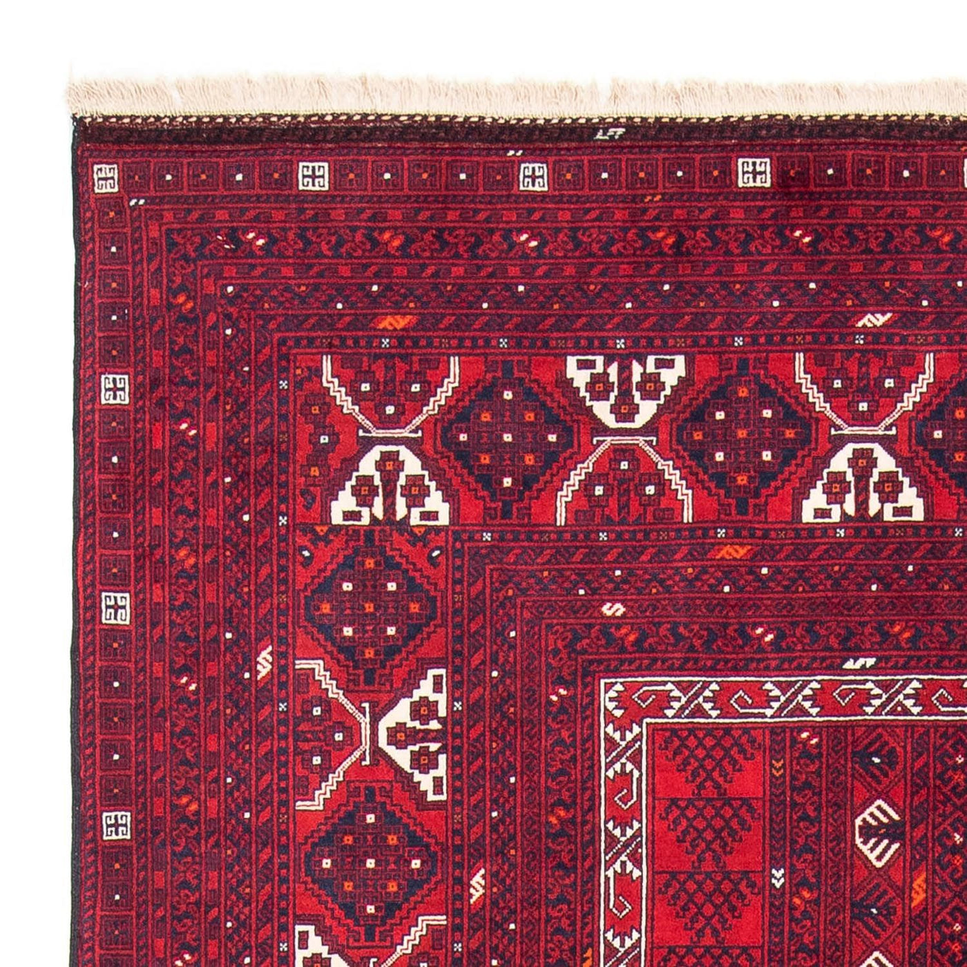 Turkaman Rug 249x160cm - Persian Rugs