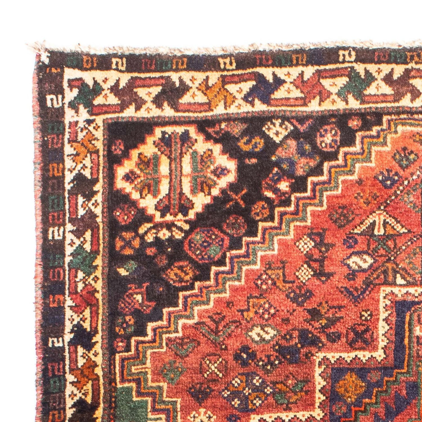 Shiraz Rug 154x114cm - Persian Rugs