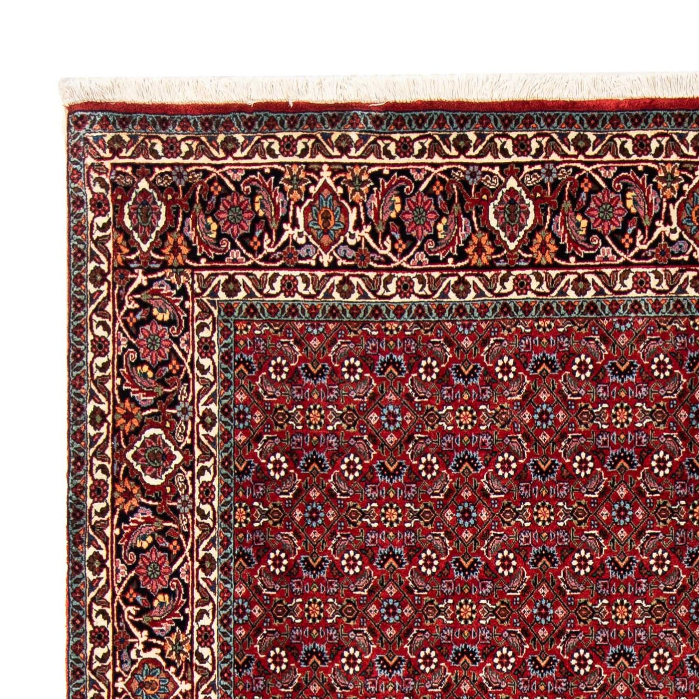 Bidjar Rug 231x170cm - Persian Rugs