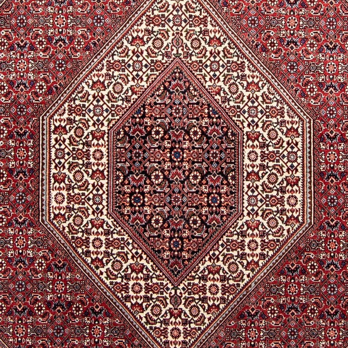 Perser Rug - Bidjar - 232 x 170 cm - red
