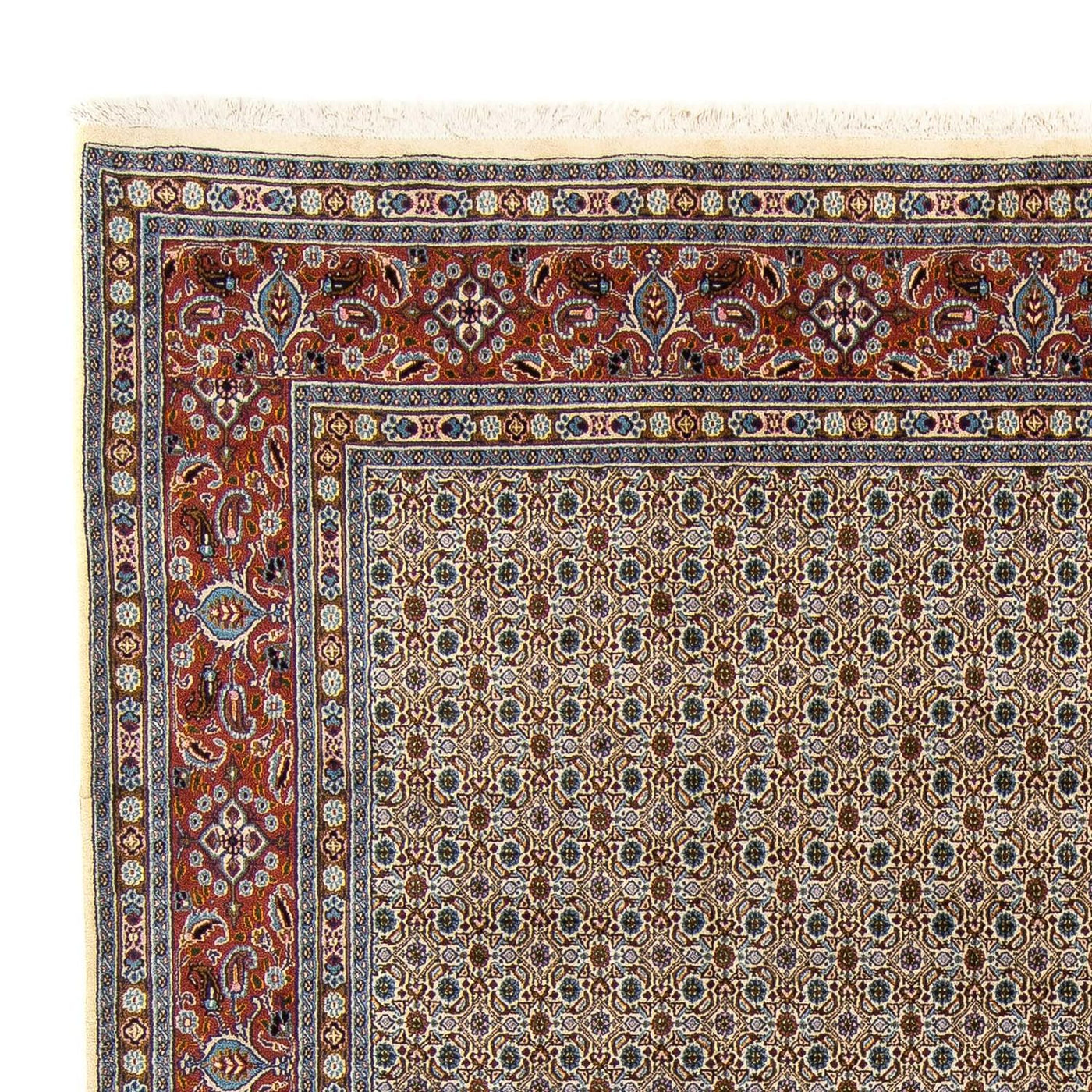 Moud Rug 340x247cm - Persian Rugs