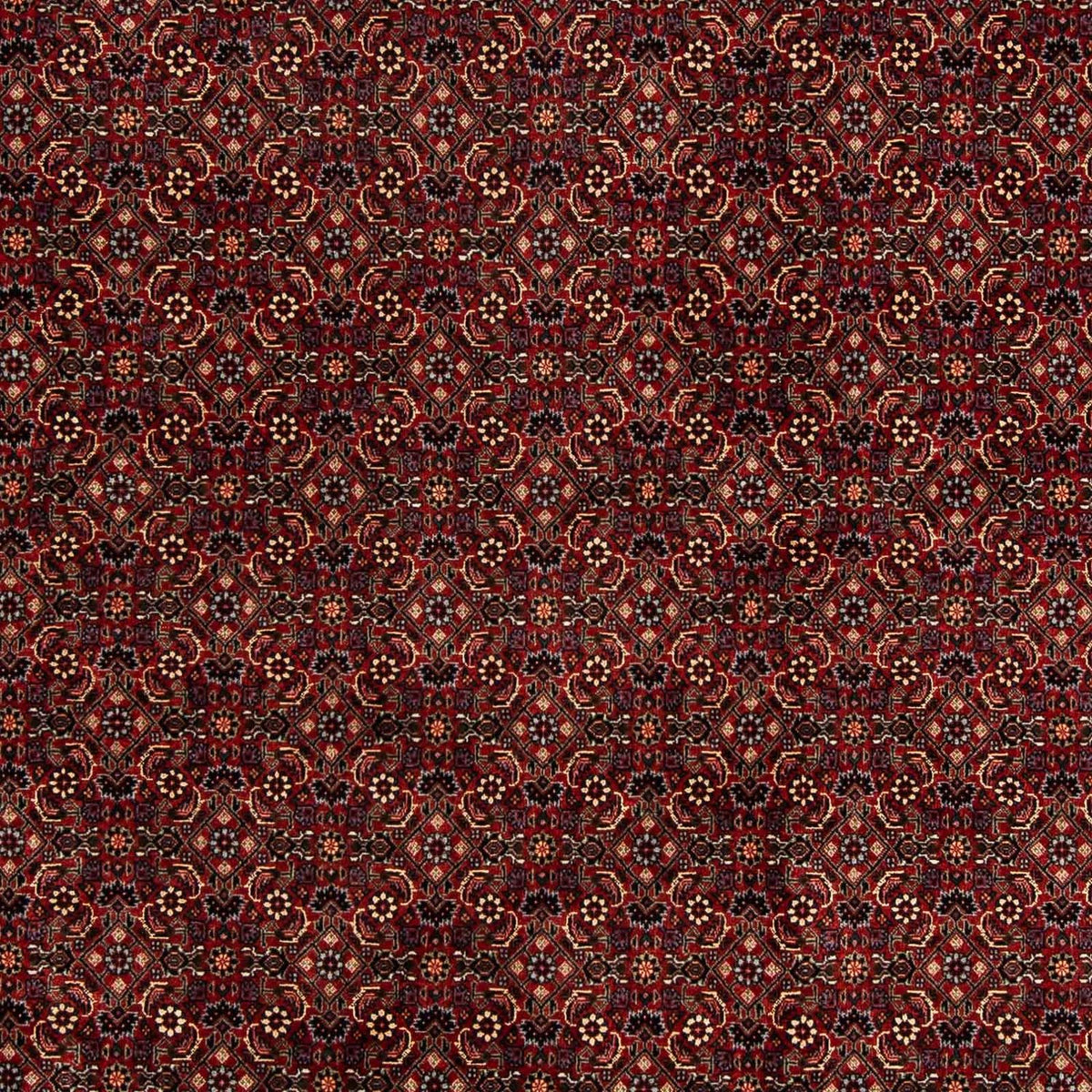 Perser Rug - Bidjar - 254 x 198 cm - dark red