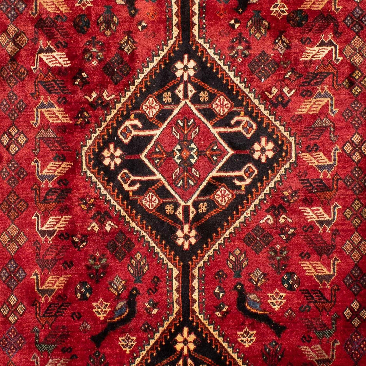 Perser Rug - Nomadic - 330 x 228 cm - red