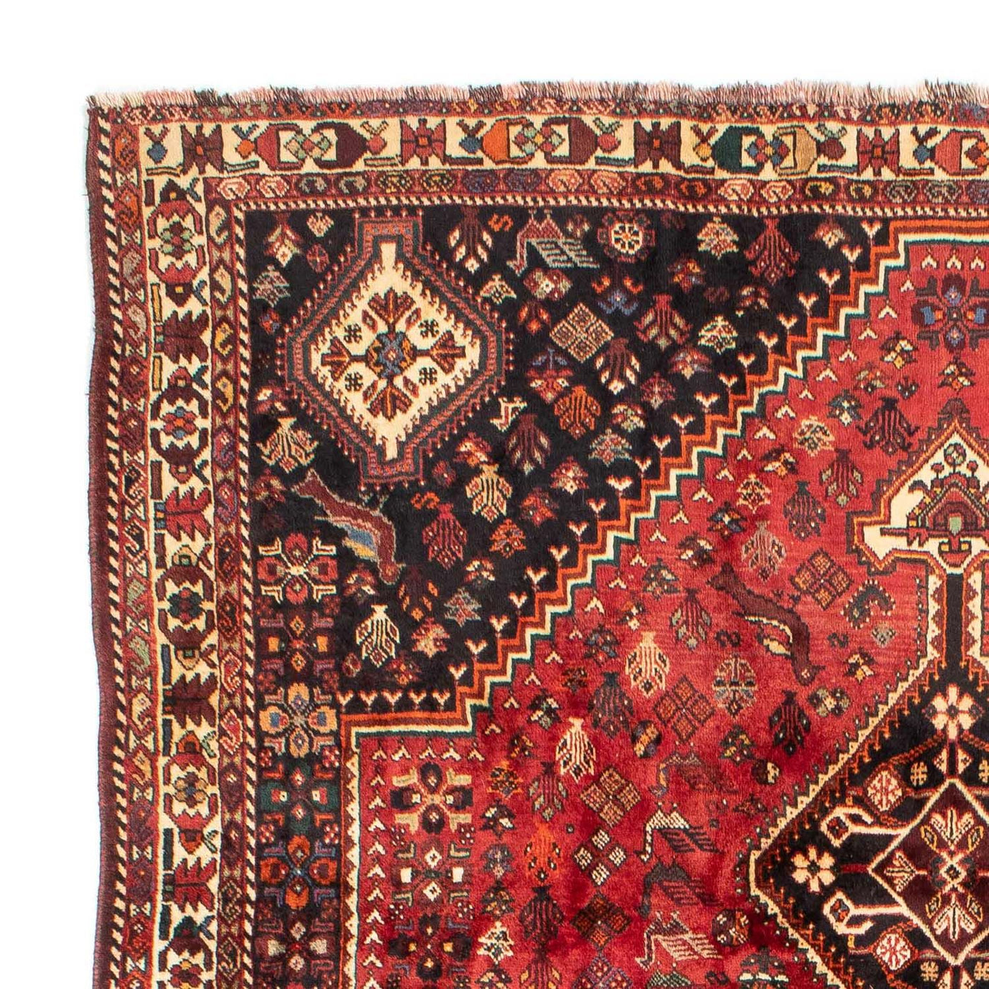 Shiraz Rug 330x228cm - Persian Rugs