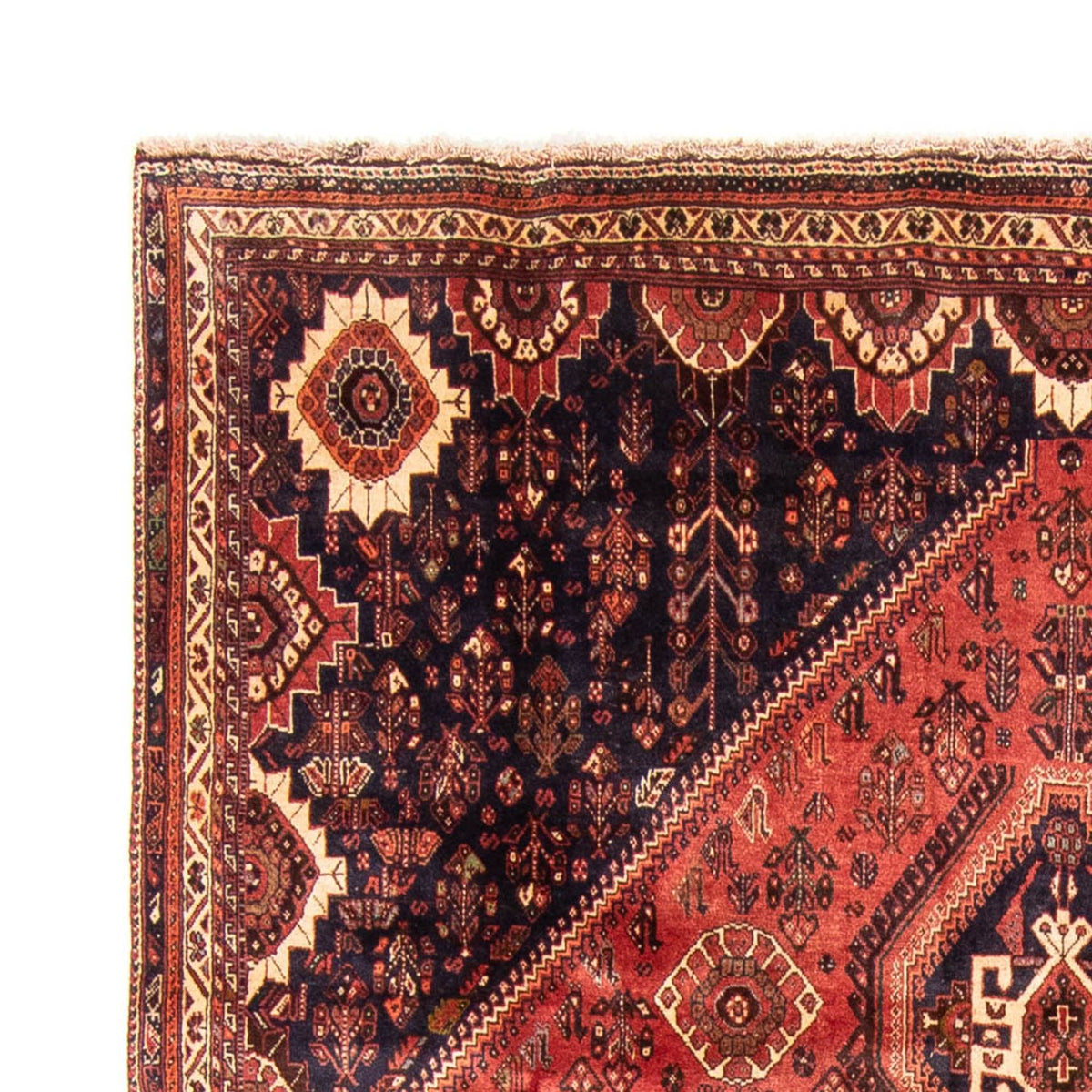 Qashqai Rug 221x330cm - Persian Rugs