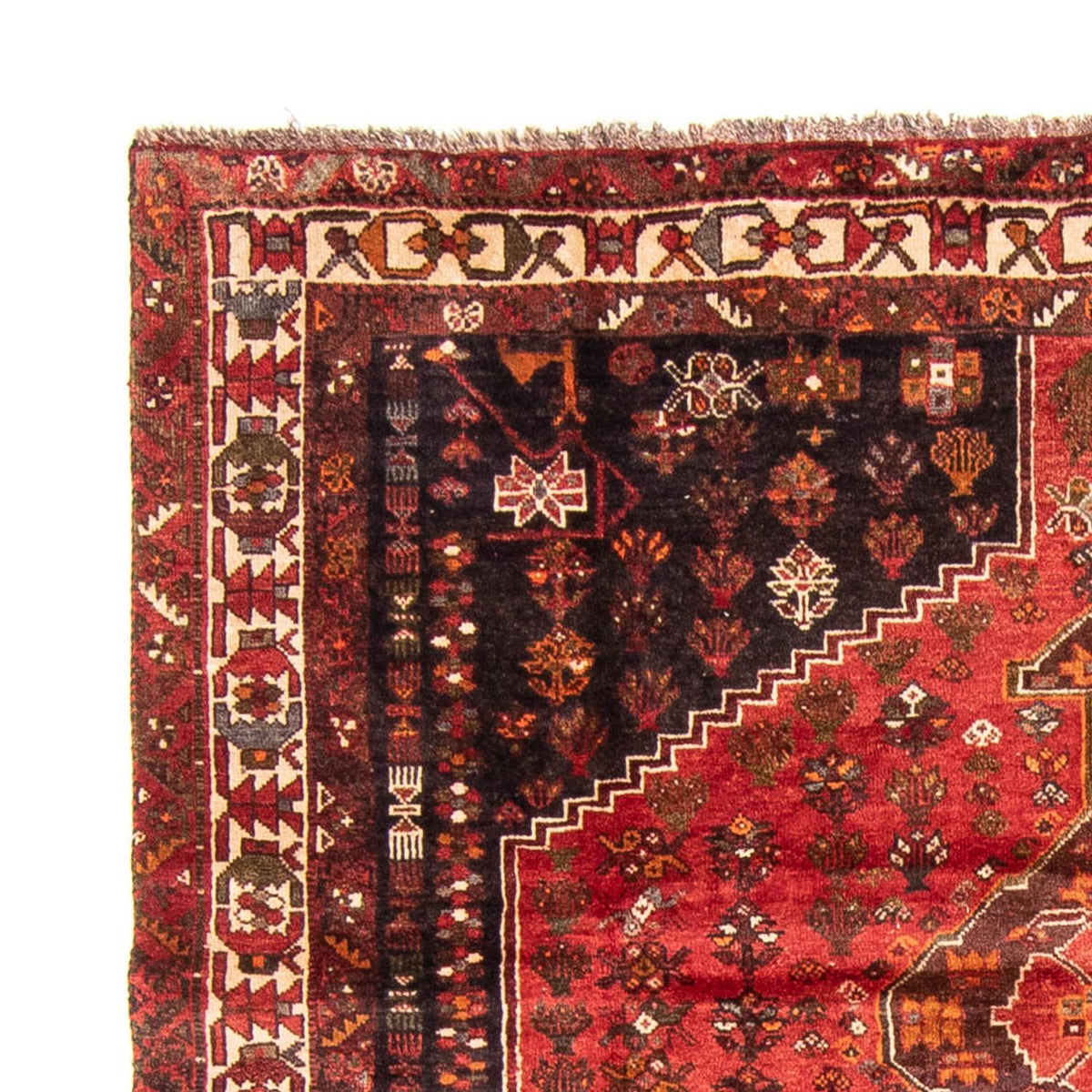 Shiraz Rug 225x310cm - Persian Rugs