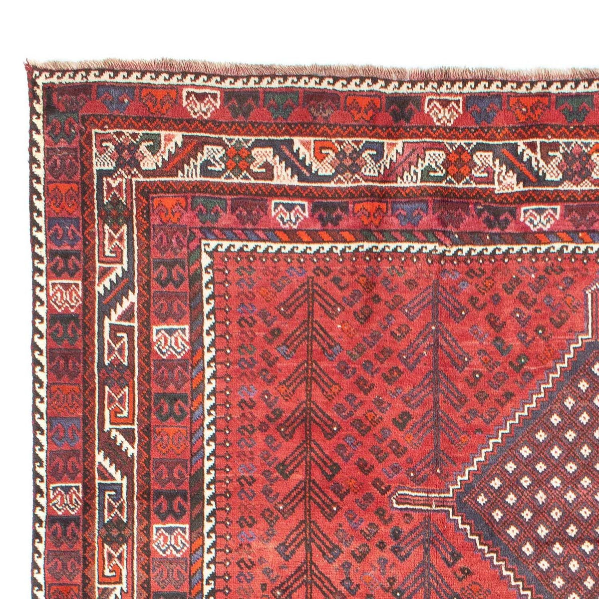 Perser Rug - Nomadic - 310 x 215 cm - red